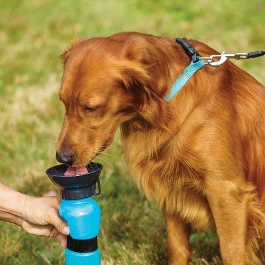 Flašica sa posudom za napajanje pasa u šetnji, 500 ml