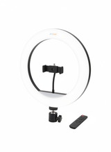 Anduul Q-L201 LED Ring Svetlo - 13 Incha Profesionalno Osvetljenje