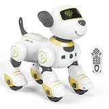 Robotski ljubimac koji peva, pleše i kreće se