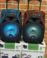 Veliki Bluetooth zvučnik sa mikrofonom i punjivom baterijom