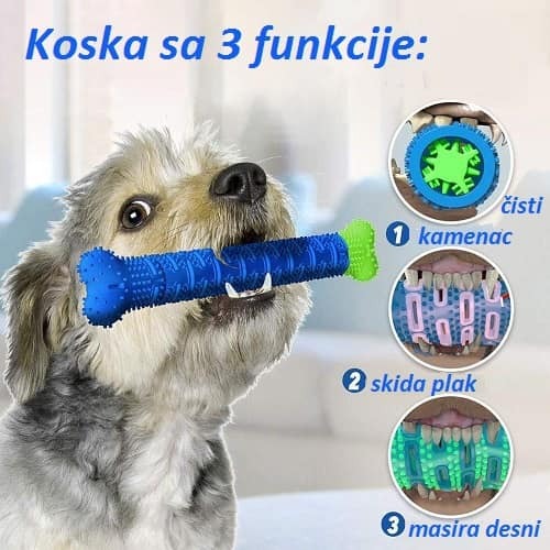 Igračka kost sa četkicom za zube za male i srednje pse