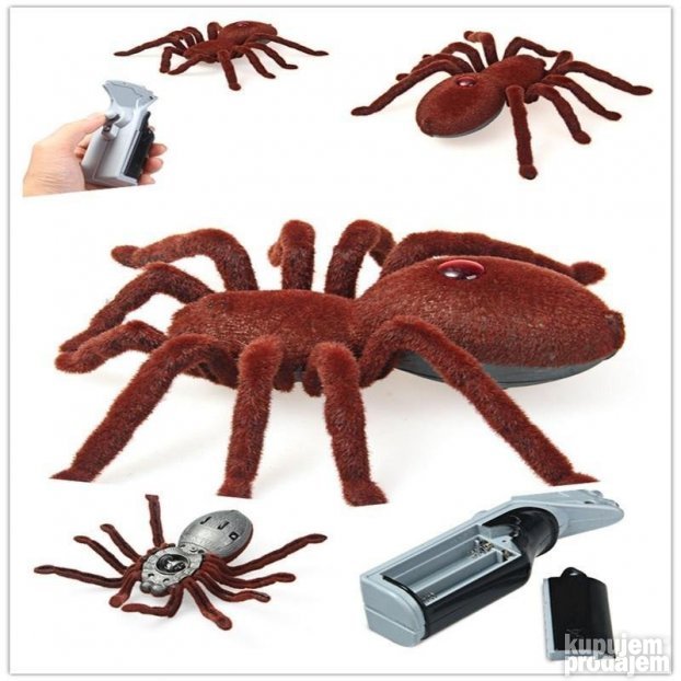 Igračka pauk tarantula na daljinski upravljač