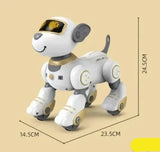 Robot pas na daljinsko upravljanje sa akrobacijama