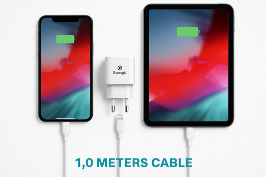 USB Punjač Lightning - U Upotrebi